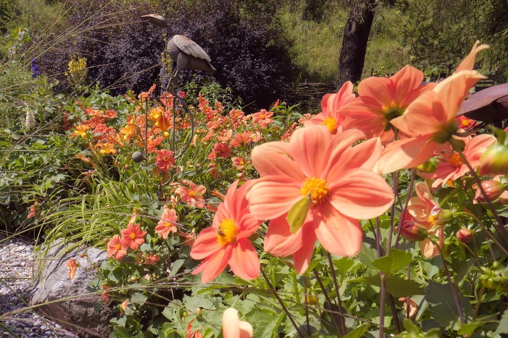 Pension Aloisia Шеффау-ам-Вильден-Кайзер Экстерьер фото