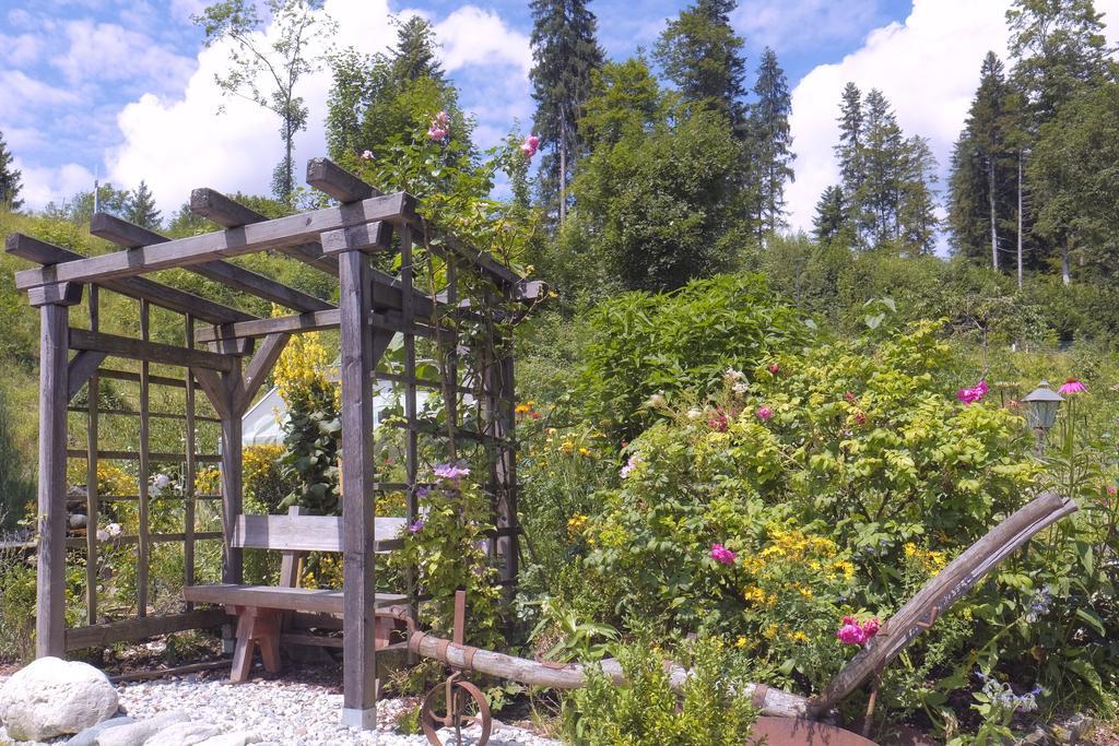 Pension Aloisia Шеффау-ам-Вильден-Кайзер Экстерьер фото